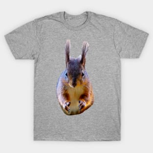 Give us a Nut mister! T-Shirt